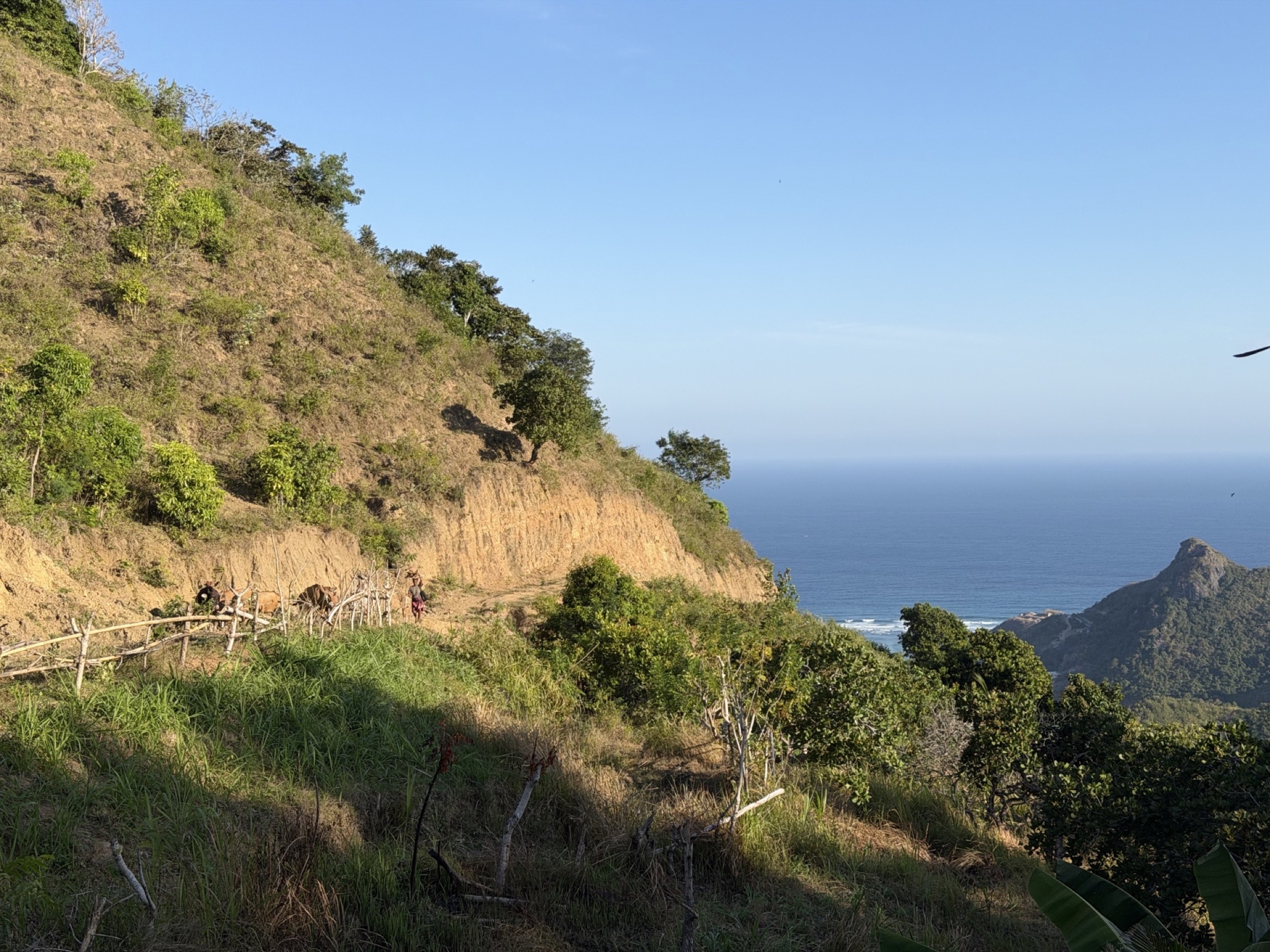 Lombok Tourism in Numbers: What the Official Data Actually Shows